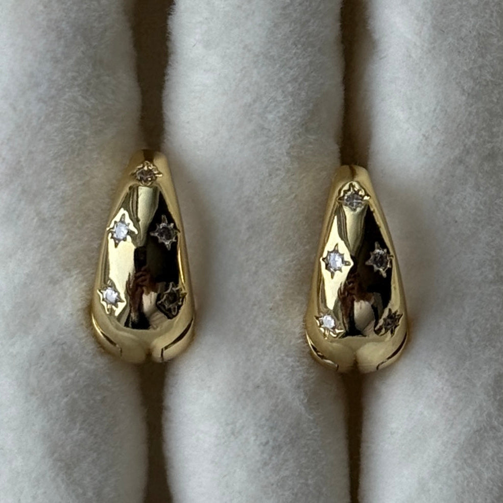 Adorné Silver Earrings