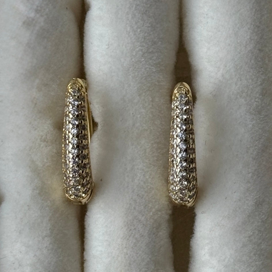 Adorné Silver Earrings